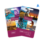 Travel luggage card